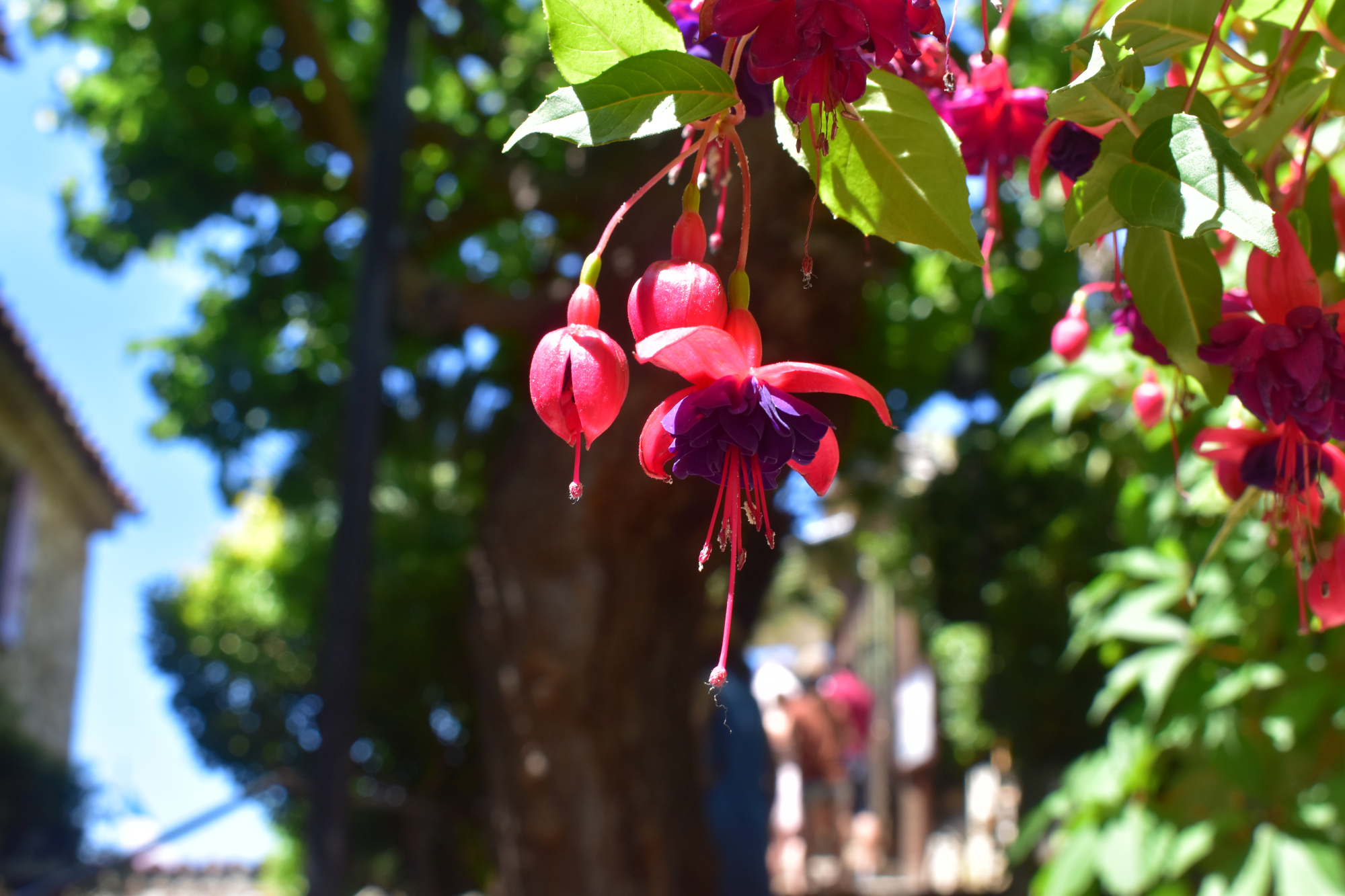 A Trip to the Exotic Garden of Eze