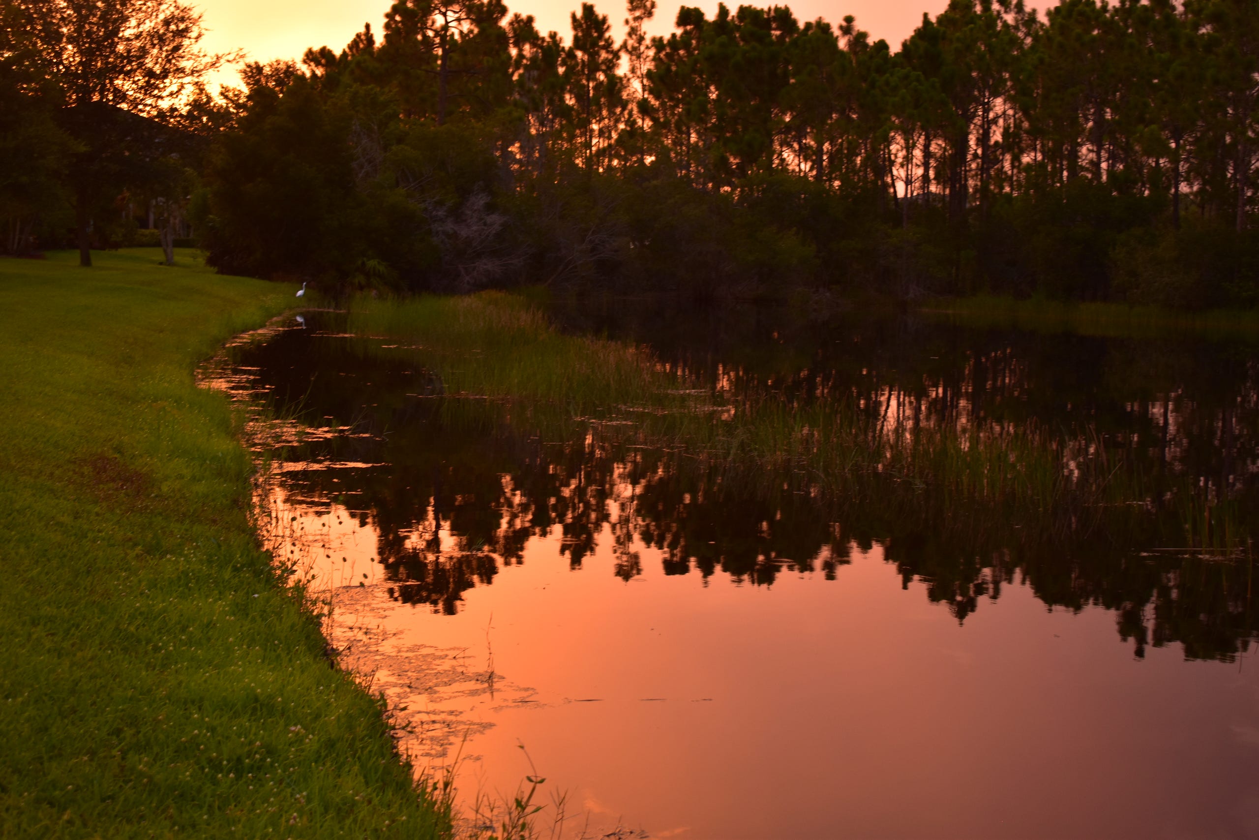 Orange Sunset Show